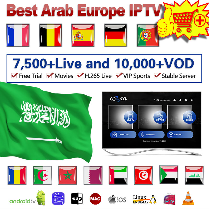 12 Months Cobra Stable Server M3U Arabic Europe IPTV Smarters Sm