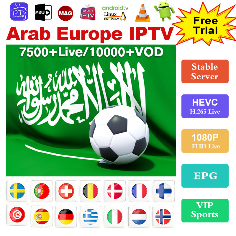 12 Months Cobra Stable Server M3U Arabic Europe IPTV Smarters Sm